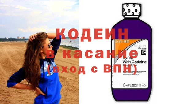 сатива Заводоуковск