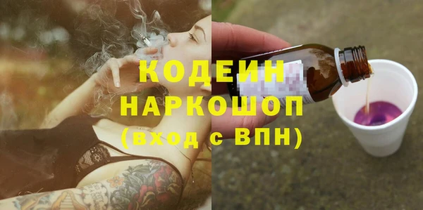 сатива Заводоуковск
