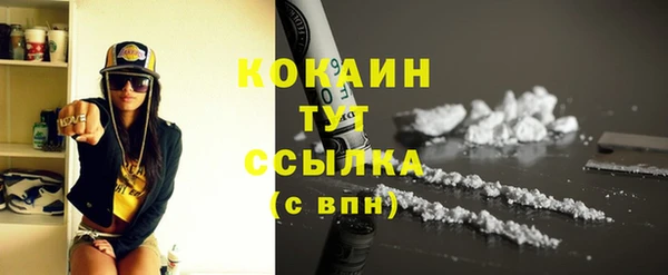 сатива Заводоуковск