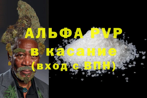 сатива Заводоуковск