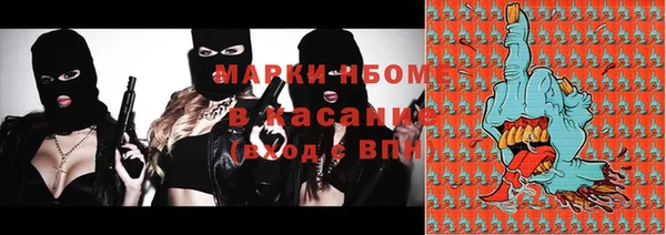 сатива Заводоуковск