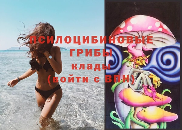 сатива Заводоуковск