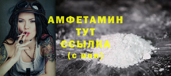 сатива Заводоуковск