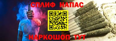 крисы Гагарин