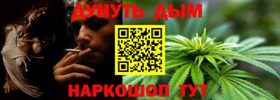 крисы Гагарин