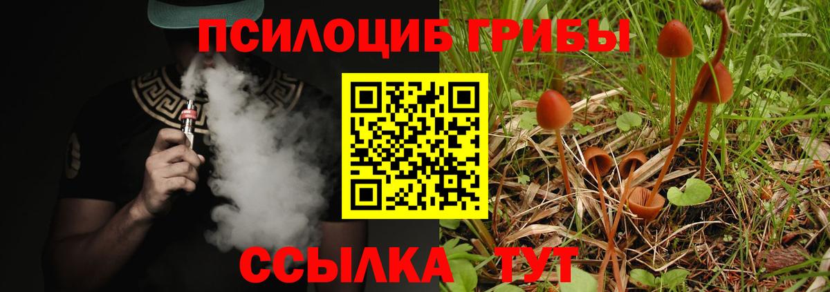 Галлюциногенные грибы MAGIC MUSHROOMS  Можга 